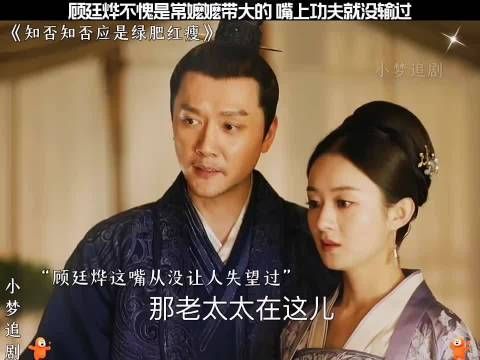 顾廷烨嘴上功夫强,常嬷嬷教导有方