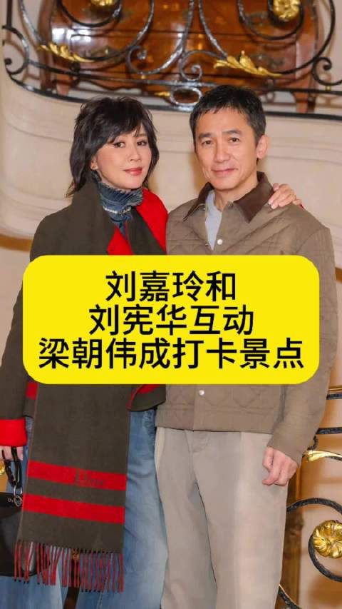 刘嘉玲和刘宪华互动,梁朝伟成打卡景点