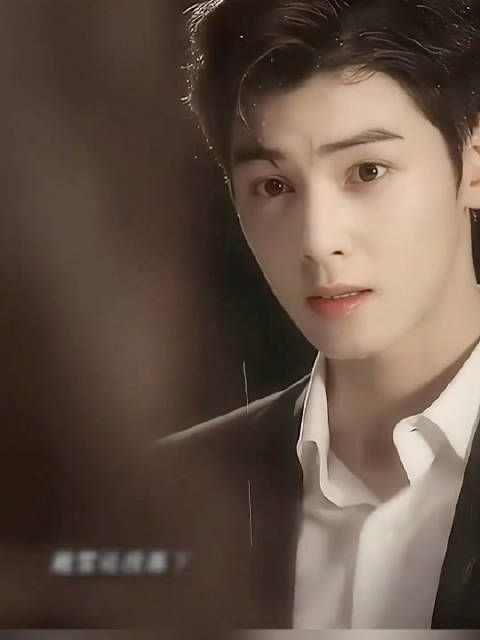 韩星车银优吴世勋颜值引热议,粉丝玩梗称应印上韩国国旗