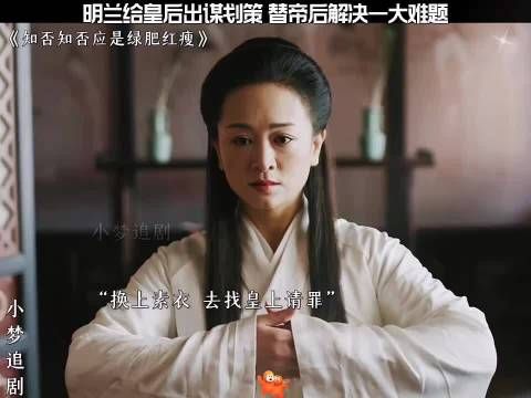 明兰为帝后解难题献计