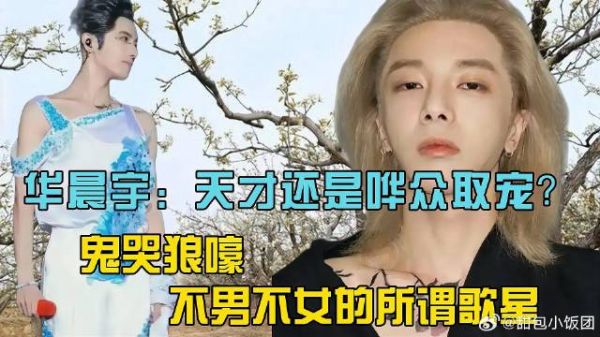 华晨宇：天才还是哗众取宠？鬼哭狼嚎，不男不女的所谓歌星