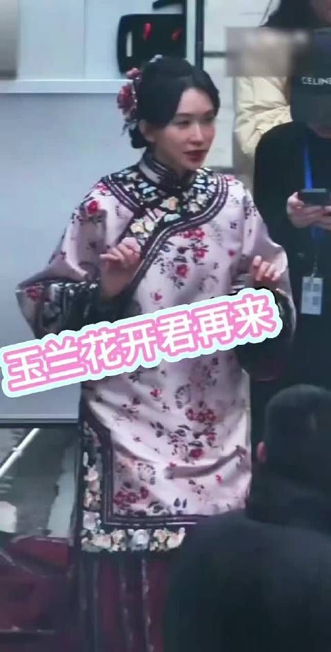 林志玲时隔8年复出参演杨紫新剧