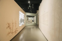 成都博物馆举办赵蕴玉捐赠书画展，经典“蜀宫乐伎”再现观众眼前