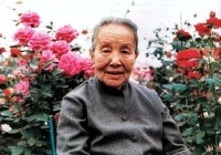 冰心的《我们太太的客厅》讽刺的到底是林徽因还是陆小曼？