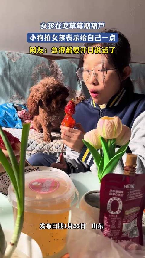 女孩在吃草莓糖葫芦,小狗拍女孩表示给自己一点 !