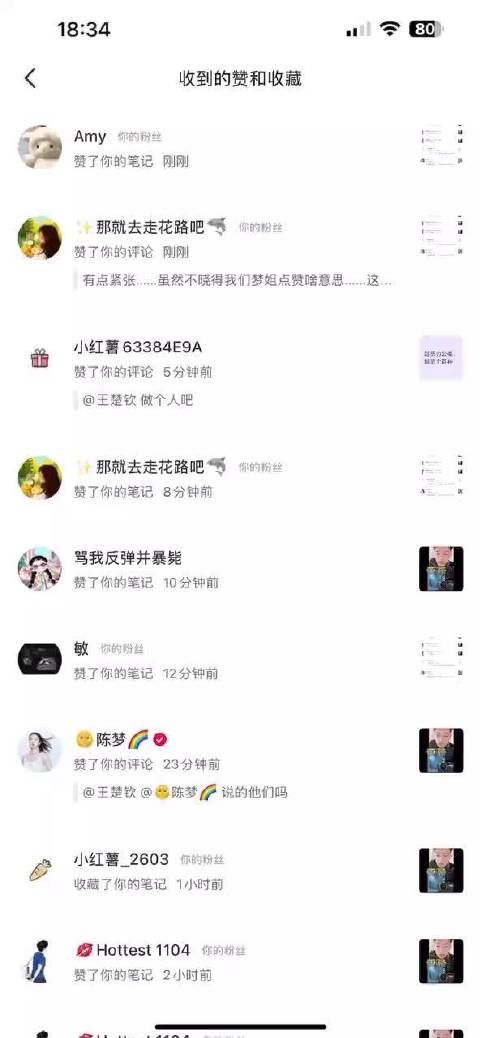 谁家正主亲自承认的西皮