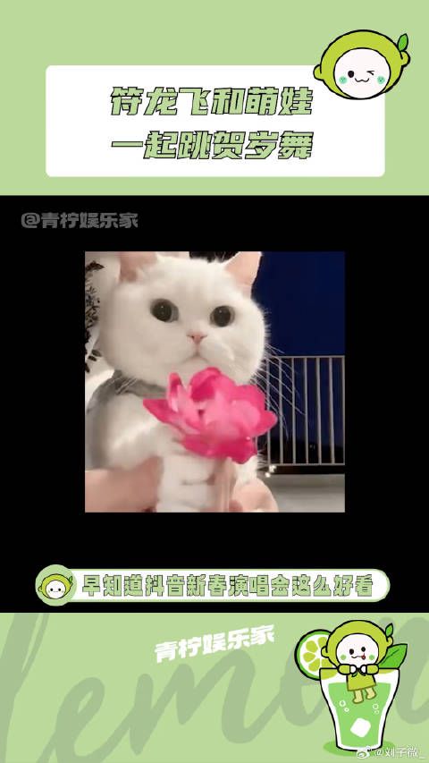 符龙飞携萌宝演唱会献舞贺岁