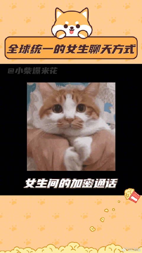 女生间全球统一的聊天方式，他怎么能这样啊！懂得都懂～日常