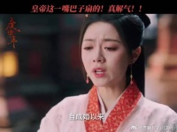 《度华年》皇帝怒扇柔妃！爽了！