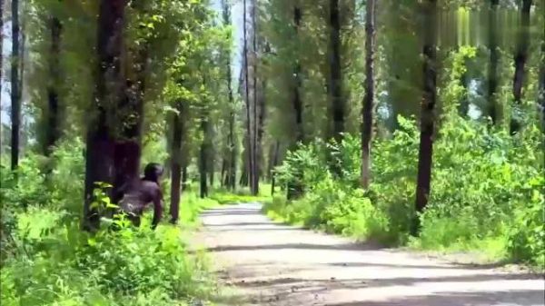 媳妇被当官的捅伤,哪料丈夫是部长,这下好看了