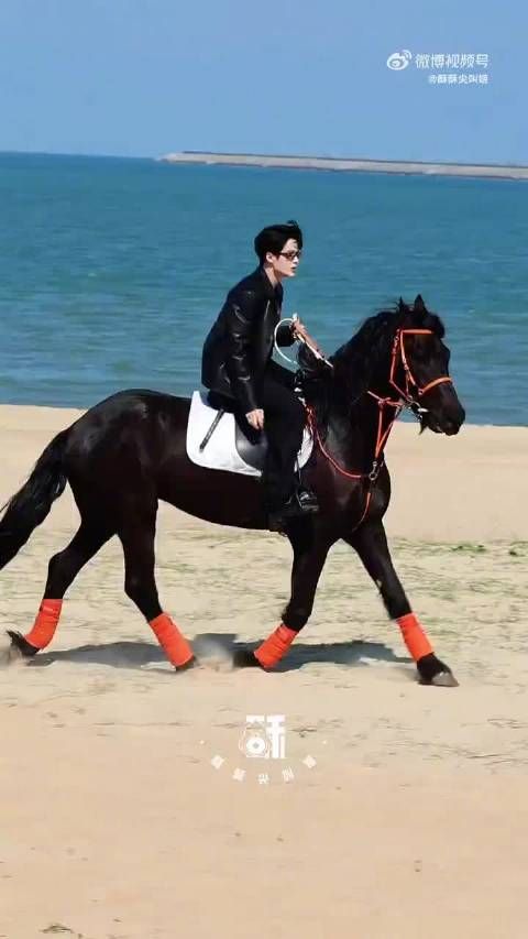 檀健次海边策马奔腾原声引期待