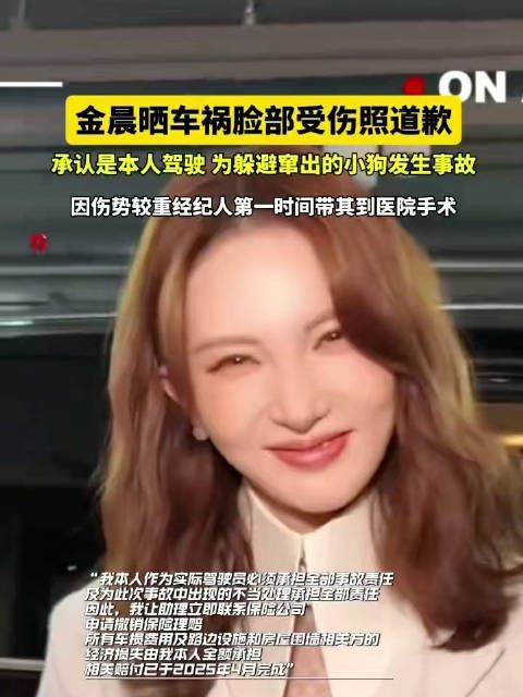 金晨晒车祸脸部受伤照道歉 承认是本人驾驶 你好我的城