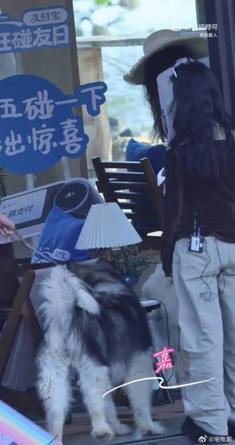 何炅空降客栈!家人团再添一员,暖心氛围直接拉满