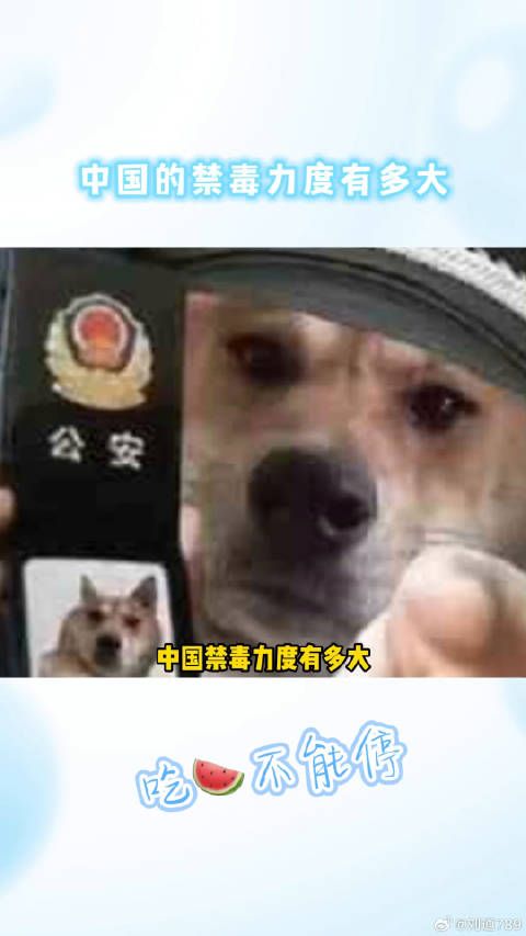 道高一尺魔高一丈!厉害了我的国!微博VC计划