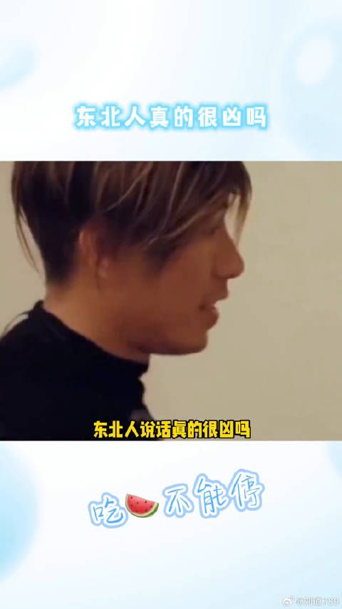 东北人真的很凶吗娱乐评论大赏