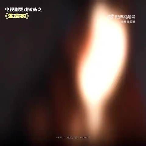 杨紫哭戏演绎父女情深，生命树收视攀升