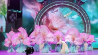 太美了！成都原创舞蹈《芙蓉似锦满城花》绽放央视舞台