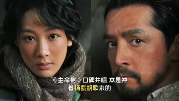 《生命树》口碑井喷，本是冲着杨紫胡歌来的，却被50岁女配角惊艳