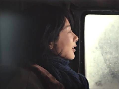 杨紫白菊意气风发的少年