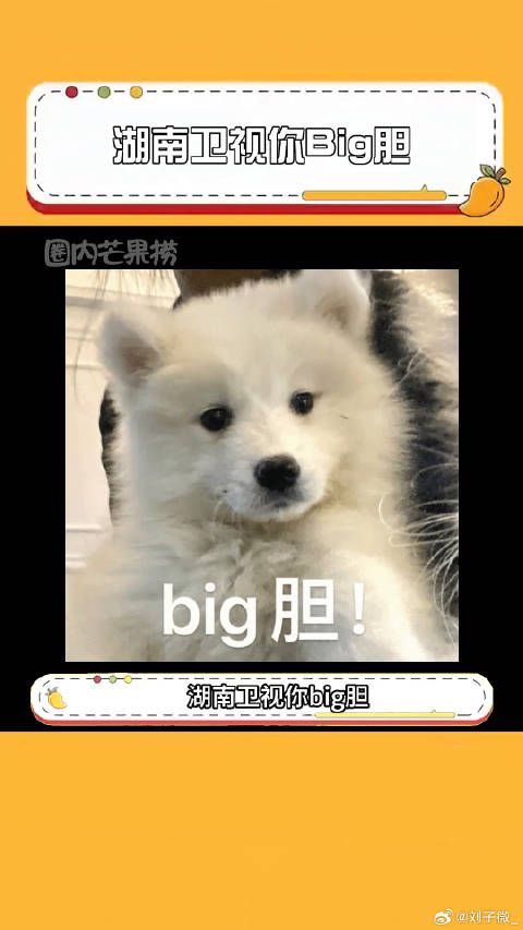 张天爱 乔欣 微博VC计划