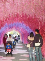 昆明世博园“花漾中国年”新春盛典启幕 首日客流破万燃爆春城年味