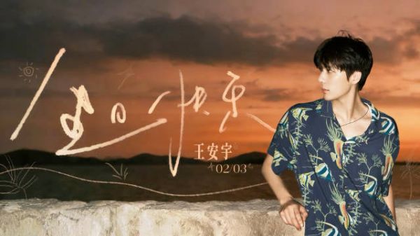 王安宇生日发文：“「二十八.」 ”