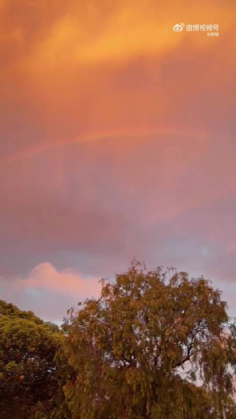 郑恺说最后和他一起合照的女人叫鹿晗，是同名同姓的鹿晗？