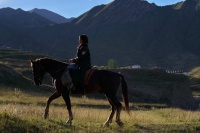 杨紫短发军大衣造型 旷野策马尽显英气洒脱