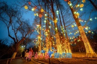 五龙潭华灯璀璨，泉城春节氛围感直接拉满