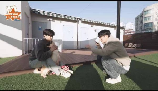 德顺小狗撒娇求亲亲，与娜尔济斯甜蜜互动