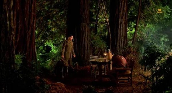 男子为爱解除婚约求婚遭拒，百年葡萄园毁于大火