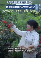 李子柒在人民日报撰文！从台前到幕后，她用文艺点亮乡村经济