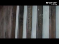 七年了！袁冰妍这段施法戏仍是内娱打戏天花板