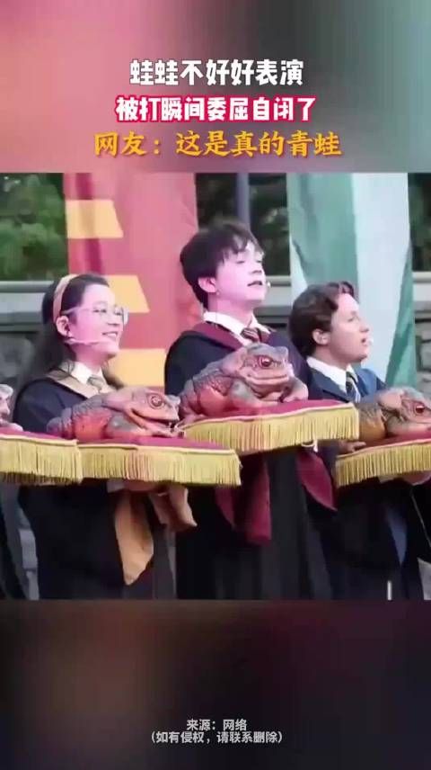蛙蛙不好好表演 被打瞬间委屈自闭了 网友：这是真的青蛙