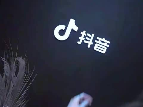 井川里予晒比基尼照引热议