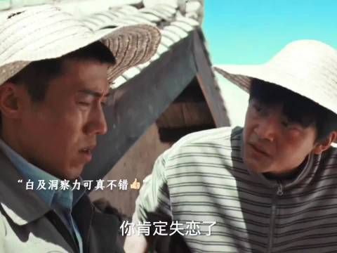 白及言行引争议，白椿白菊情感成焦点