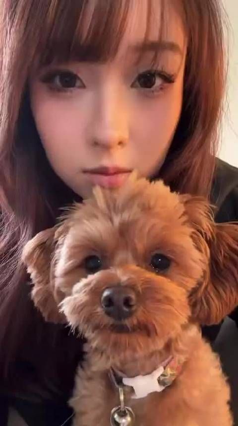 和布丁萌萌的看着你