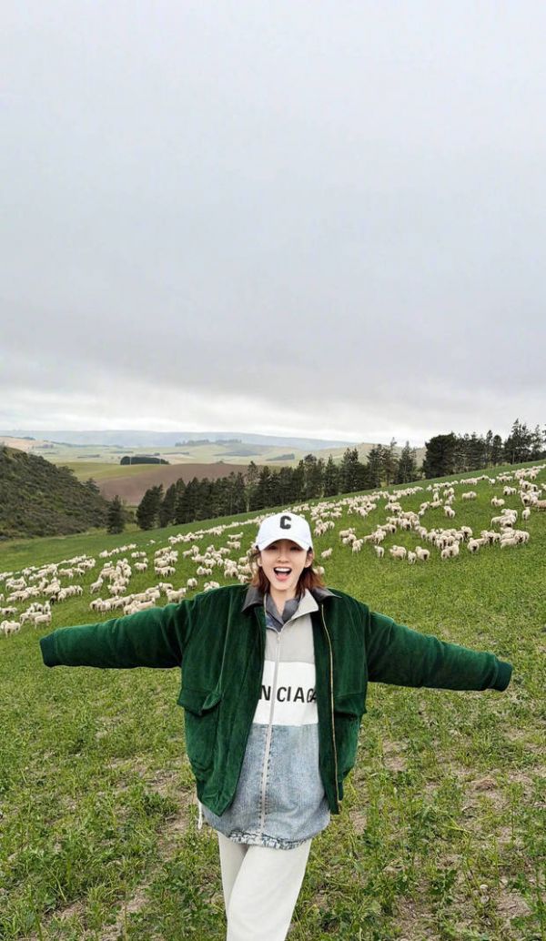 唐艺昕在大草原上与羊群合影。