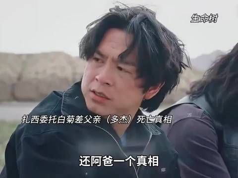 生命树:多杰惨死成谜，扎西求白菊揭开杀父真相