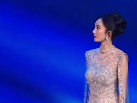 只要有杨幂的红毯，我心中她就是No