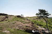 2026年王台阁老山庙会将于正月十三开赶！西海岸最具规模、历史最久远！