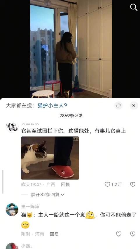 猫:还笑孩子要被人抱走了不知豆吗？