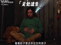 为什么外国的电影总是那么让人绝望