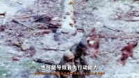 真实战场上，士兵中弹后能活多久？老兵冷笑：别再被电视忽悠了