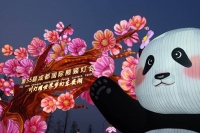 闹元宵！在东安湖赴一场光影与烟火的约会