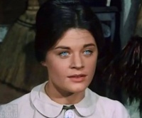 眼睛太蓝了，有点吓人！