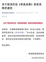 《审美浪费》靠AI拿银奖被取消，举报人竟是作者本人！网友：可惜，这下真是 “审美浪费” 了