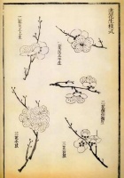 女弟子误以为齐白石没画完，擅自添加几笔，764万画作变63万