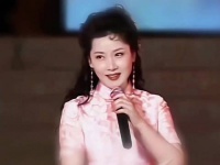 董卿何赛飞同台演唱天上掉下个林妹妹