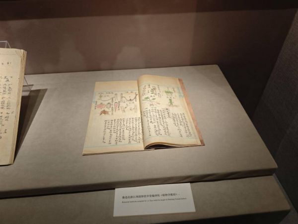 鲁迅其实是个“好玩的人”